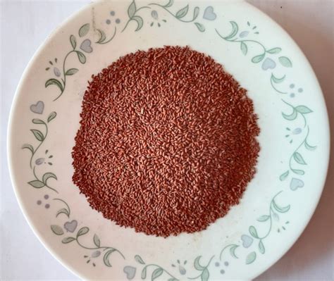 TARAMIRA BEEJ | TARAMIRA SEEDS | ARUGULA SEED | Trustherb