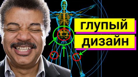 Нил Деграсс Тайсон - бестолковый дизайн (классика научного стэндапа ...