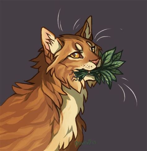 mothwing | Tumblr #CatTumblr | Warrior cats fan art, Warrior cats art