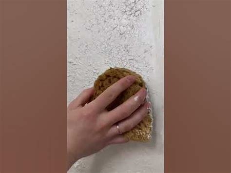 Декоративная штукатурка - Морская губка. Stucco Perle от Vincent Decor ...