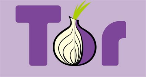 What is Tor Browser? : The onion router explained - Trint