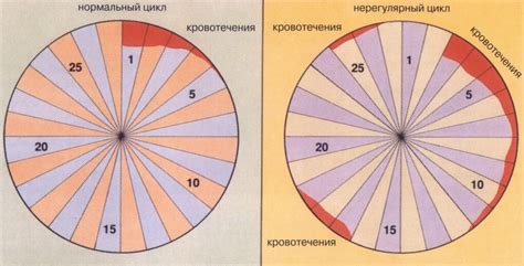 Нарушение менструального цикла женщин - Институт здоровья