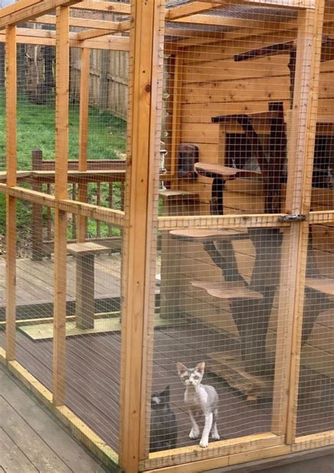 30+ DIY Catio Ideas That Are Totally Pawsome - HubPages