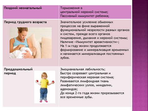 Анатомо-физиологические особенности строения челюстно-лицевой области у ...