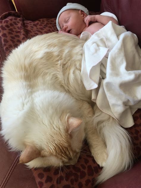 Lake and Lady Kitty – A Perfect Day