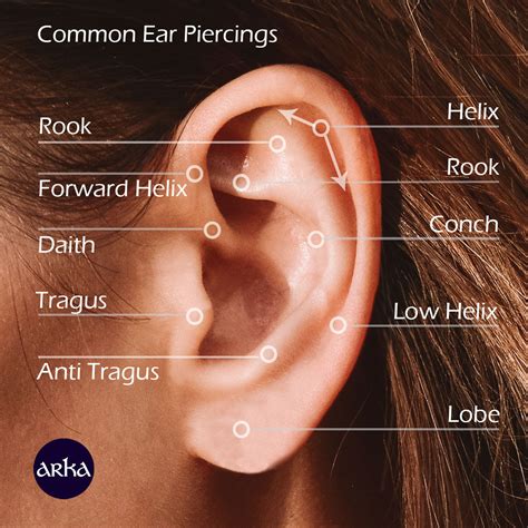 Ear Piercing Diagram