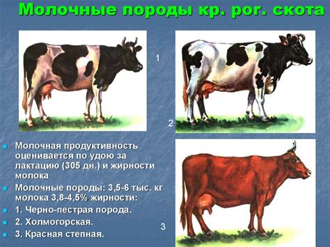 Разведение животных - презентация онлайн
