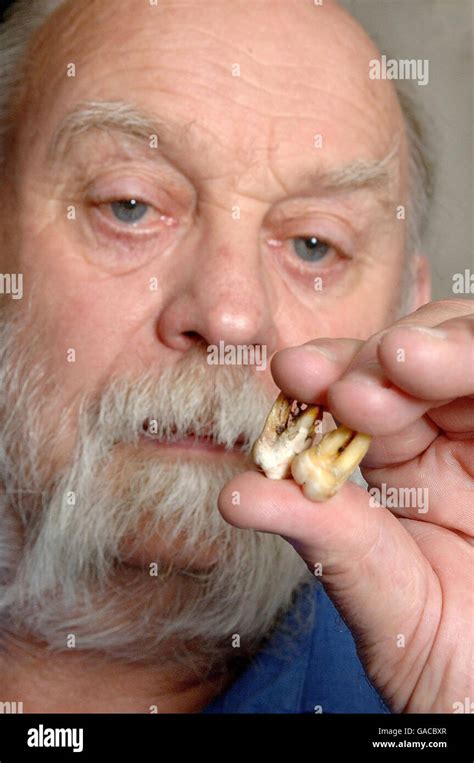 teeth   res stock photography  images alamy