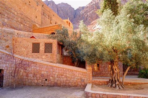 Inside of Saint Catherine`s Monastery in Sinai Moumtains, Egypt Stock ...