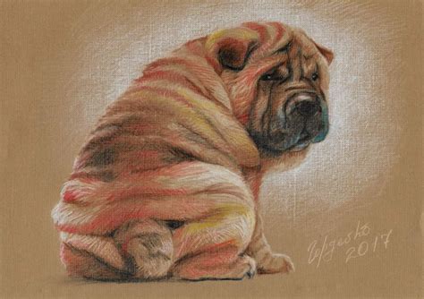 Щенок шарпея / Shar pei Puppy | Рисунок карандашом / color pencil ...