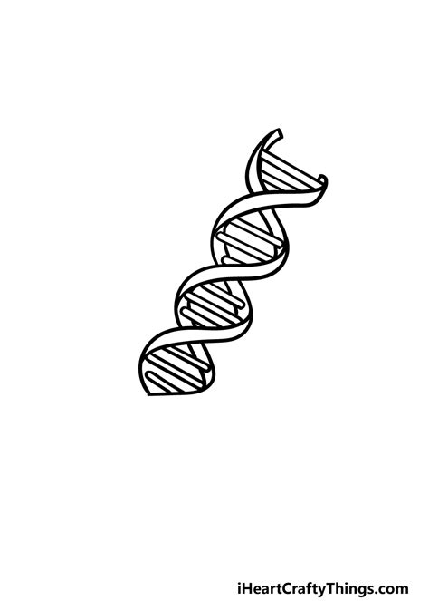 Dna Easy Pictures to Draw of Dna - Hall Kintalind