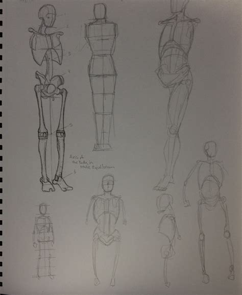 Scott Sackett Blog: Working my way through ‘Struttura Uomo: Manuale di ...