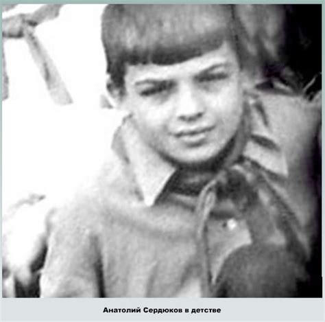 Анатолий Сердюков: биография, личная жизнь, жена – Евгения Васильева ...