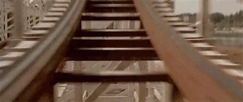 roller coaster gifs tenor