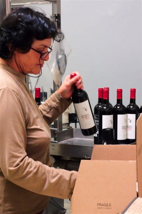Winemaking: high-quality artisanal production – Guado al Melo