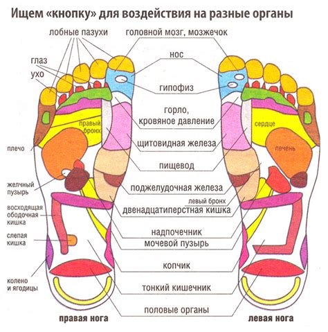 Массаж стопы / Болит голова? Массируй ноги!