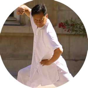 tai chi lyon  cours formation tai chi chen  lyon    caluire