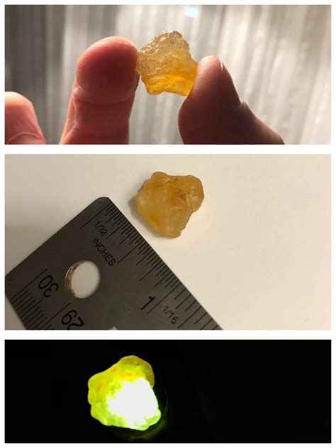 Richmond beach, Seattle Washington. Found on the shore (Puget Sound