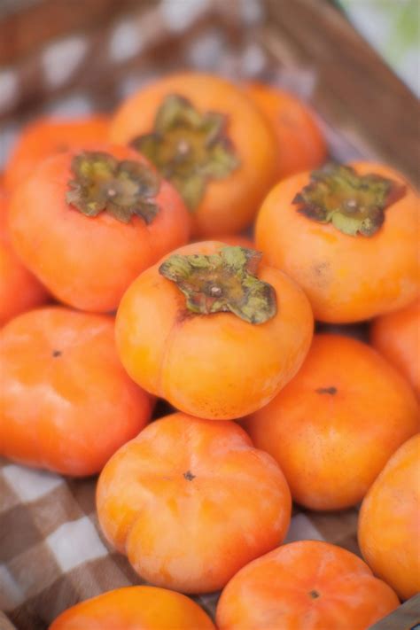 Persimmons on White SurfaceFree Stock Photo
