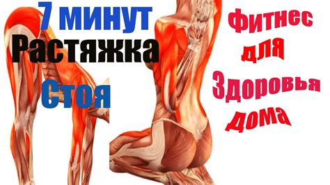 7 минут РАСТЯЖКА упражнения для ЗДОРОВЬЯ и долголетия АНТИВОЗРАСТНЫЕ ...