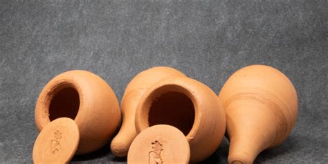 ollas ollas  planting   set