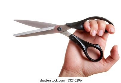 cut stock photo  shutterstock