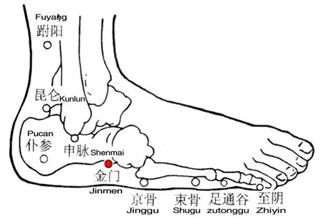 Jinmen - TCM Wiki