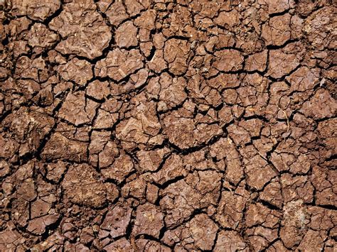 Mud Texture Images | Free Photos, PNG Stickers, Wallpapers ...