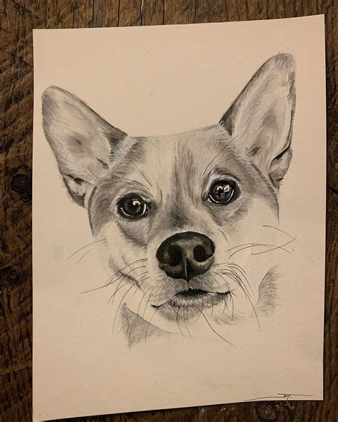 Art By JET - Mochi 💜 ready to go home with her sister Maya!
