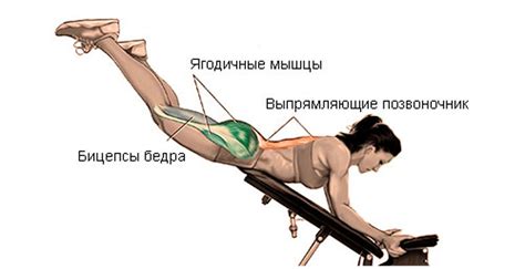 Обратная гиперэкстензия: техника выполнения, какие мышцы работают