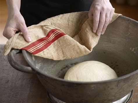 Baking Yeast What Is It at Joel Flynn blog