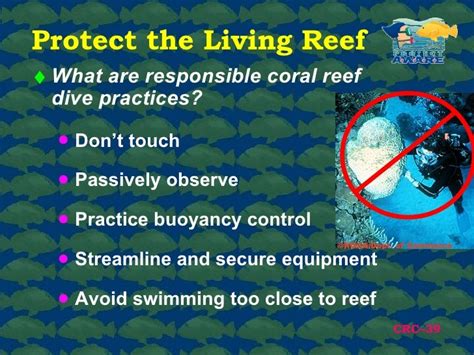 Project AWARE Coral Reef Conservation