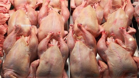 В России могут вырасти цены на мясо птицы - Газета.Ru | Новости