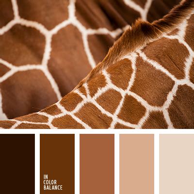 темно серо-коричневый цвет | IN COLOR BALANCE