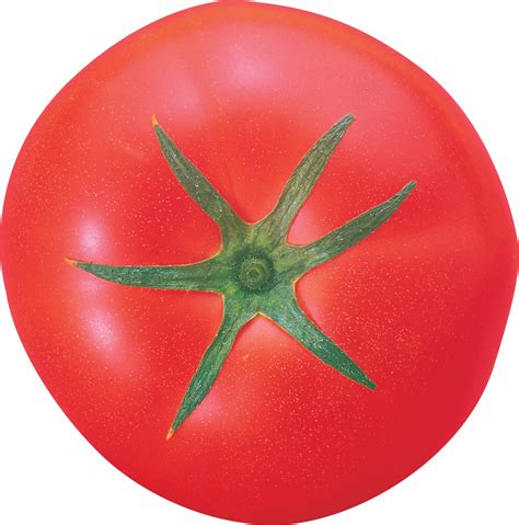 Помидор PNG