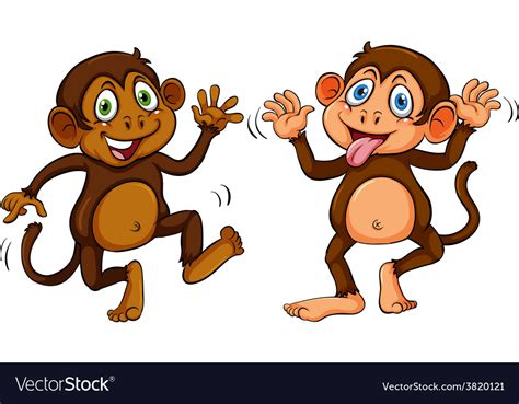 Two monkeys Royalty Free Vector Image - VectorStock