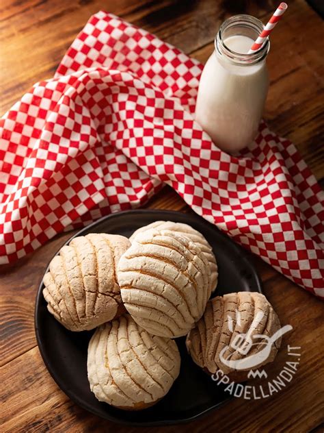 Conchas - Spadellandia.it