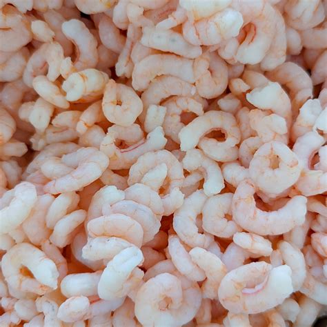 Pink Shrimp — Local Ocean