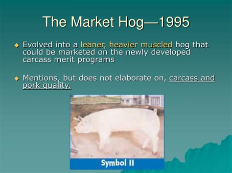PPT - What is the Ideal Market Hog in 2006? PowerPoint Presentation ...