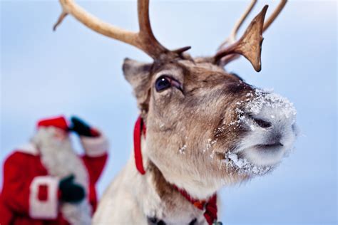 Tilastopalvelu Rudolf - Visit Finland