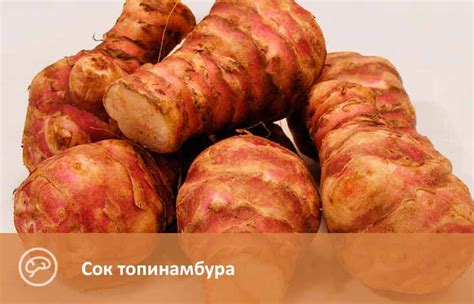 Сок топинамбура. Польза и вред. Как приготовить