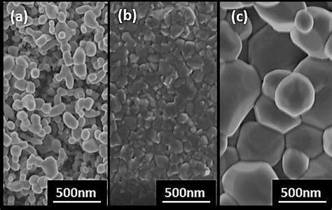 SEM micrographs of VO2 films (a) (b) and (c) deposited at 450 o C, 500 ... 