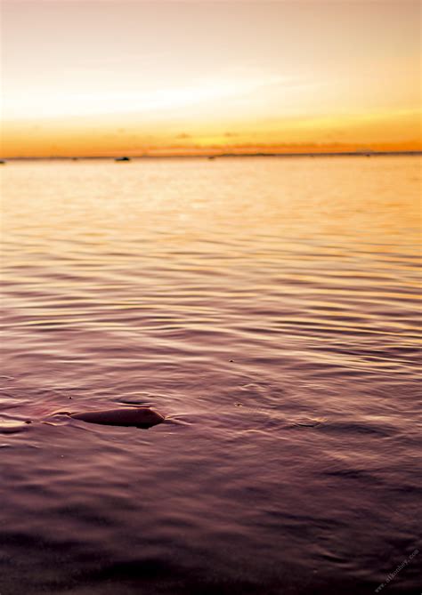 Sakurako Okubo 大久保桜子, ファースト写真集 『SAKURAKO』 Set.02