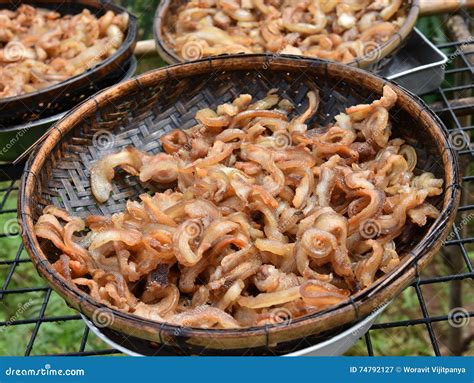 Pork Rinds stock image. Image of oriental, chinese, belly - 74792127