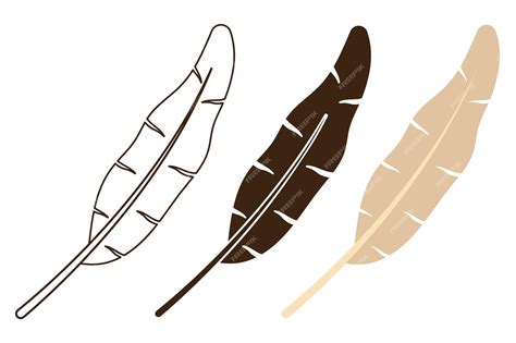 Premium Vector | Feather in outline and flat