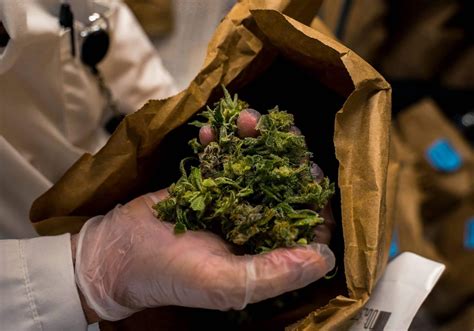 What Is Hash (Hashish)? | Cannabis Addiction Treatment