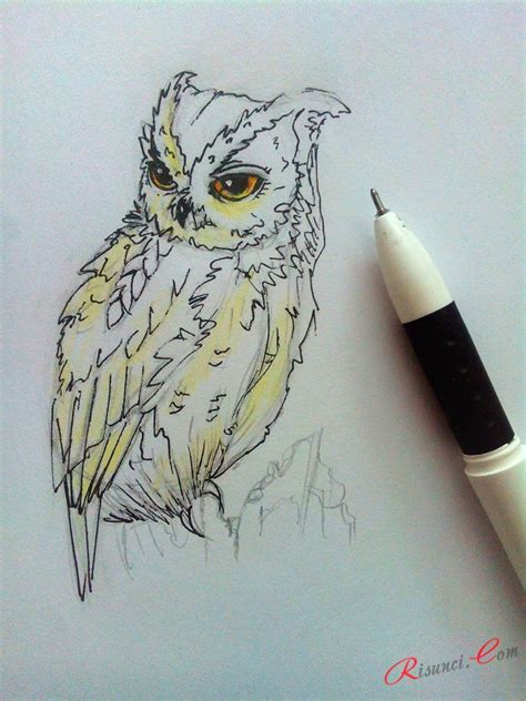 Учимся рисовать сову 🖌 Рисунки карандашом поэтапно