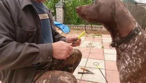 Рыбацкая снасть "Хапуга" часть 1. Своими руками. | Путёвые заметки ...