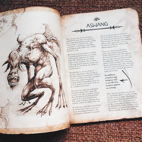 Peeking through The Lost Journal of Alejandro Pardo | i am krissy