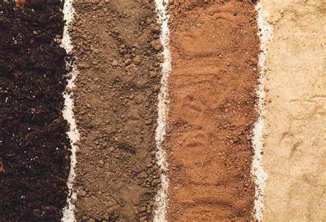 types  soils simple lawn solutions